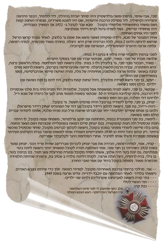 תולדות משפחת גולדשטיין