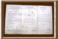 תעודת התאזרחות של שלמה קנטור