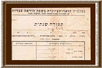 חיה צורף, תעודות מהגימנסיה
